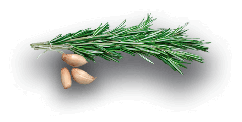 ecobeef-home-rosesemary ecobeef-home-rosesemary